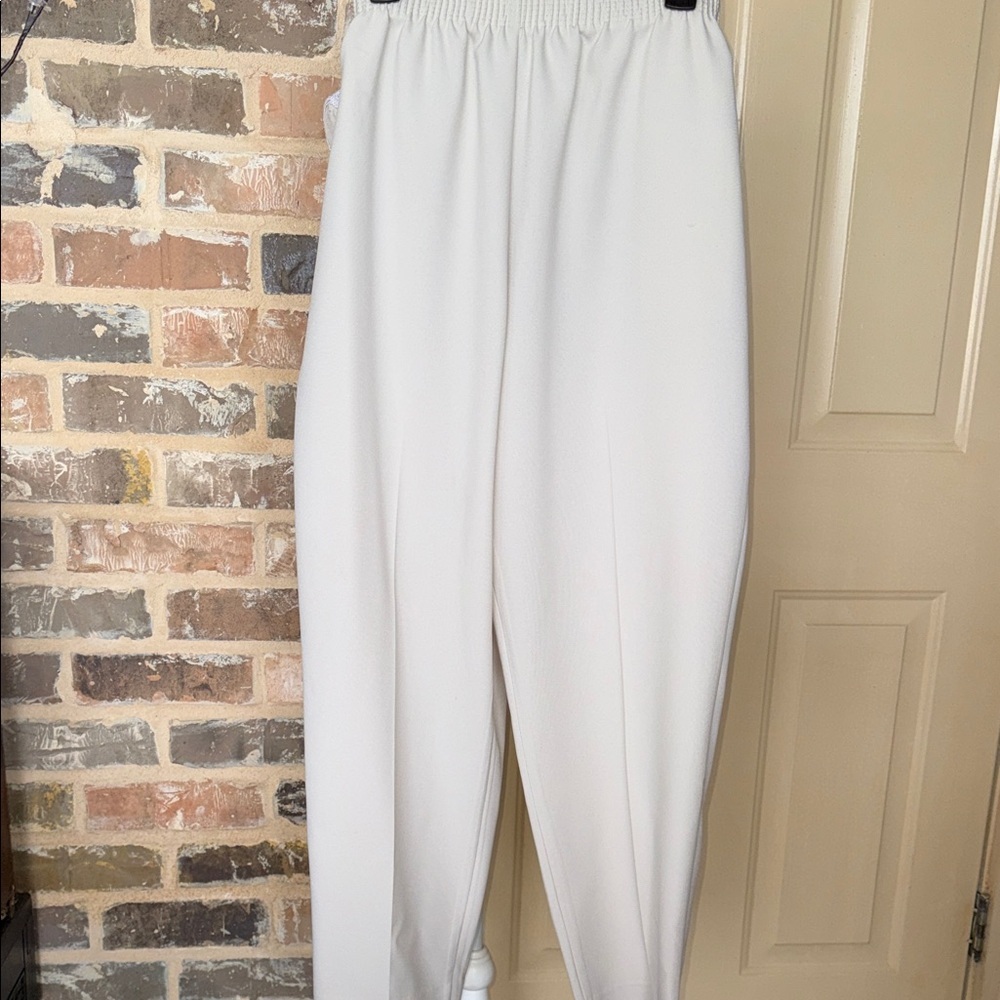 NWT Allison Daley Tan Pull On Pants Elasticized Waist Pockets Sz 16W